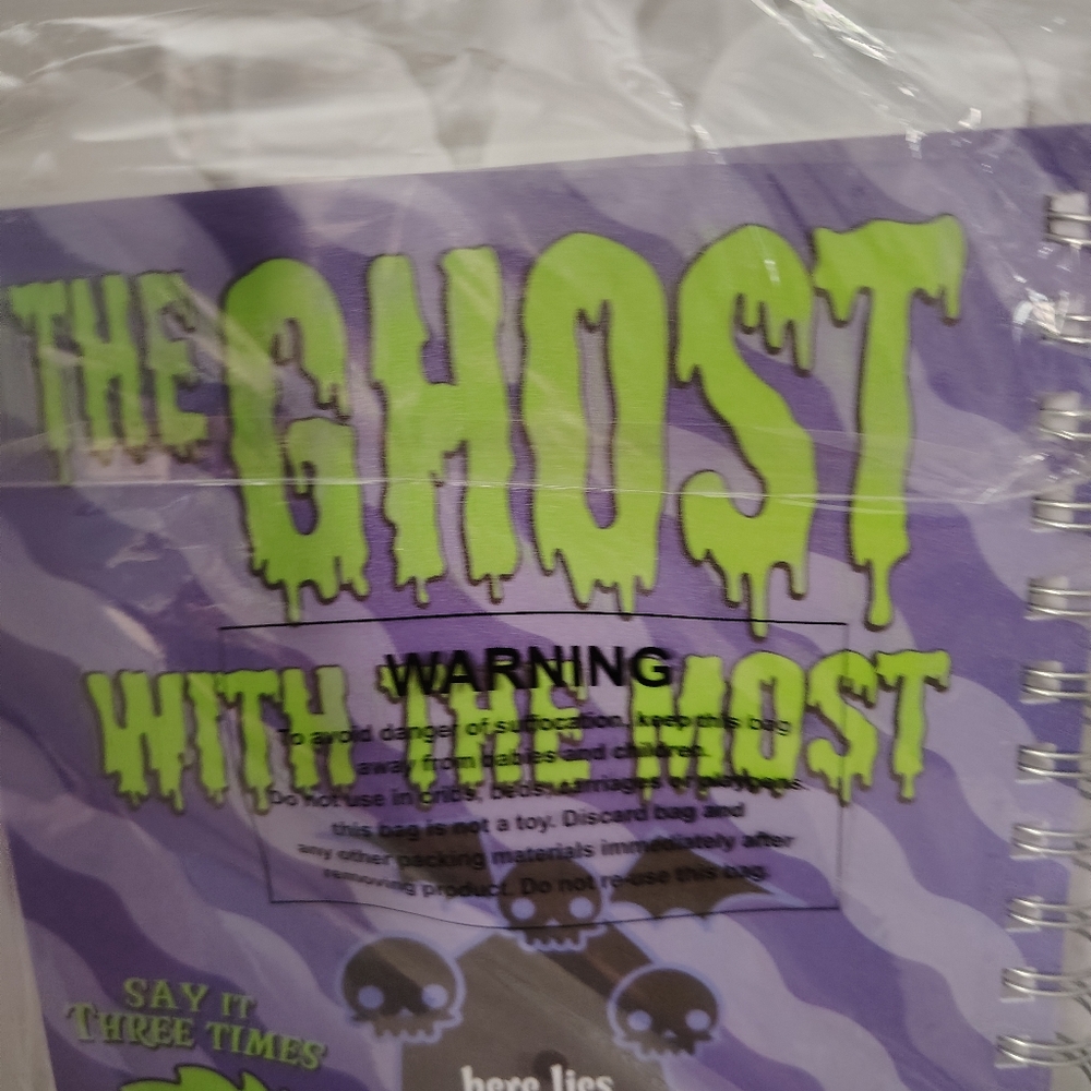 🪲NWT Beetlejuice Vinyl Covered Spiral Journal w/ Vinyl Separators - Picture 8 of 16